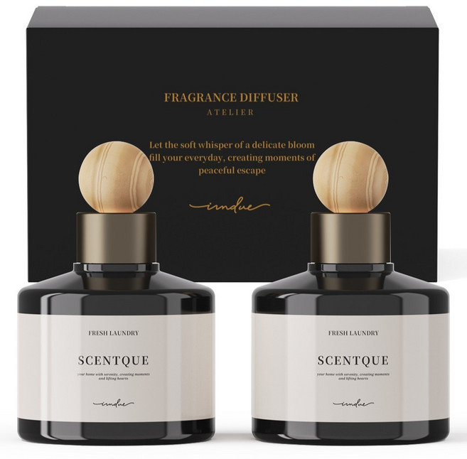 아이엠듀 프리미엄 퍼퓸 차량용 디퓨저 200ml 본품, 프레시런드리, 2개