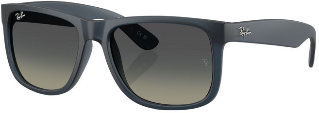 레이밴 Ray-Ban 남녀공용 선글라스 RB4165F