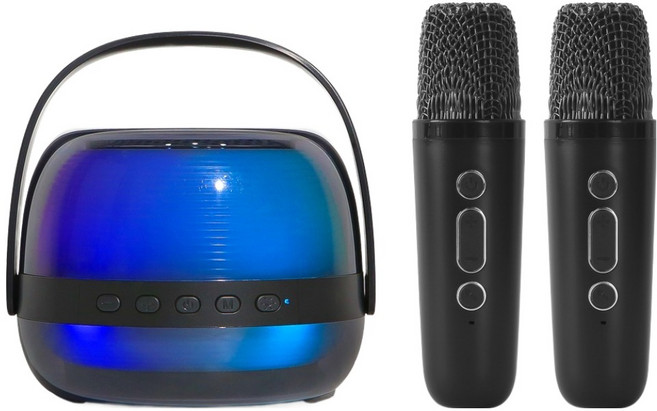라익미 풀럼 페스티벌 블루투스 스피커 노래방 무선 마이크 세트, BC25, 블랙