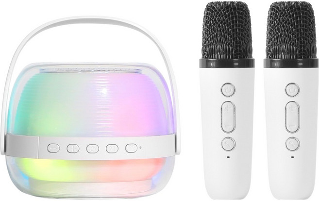 라익미 풀럼 페스티벌 블루투스 스피커 노래방 무선 마이크 세트, BC25, 화이트