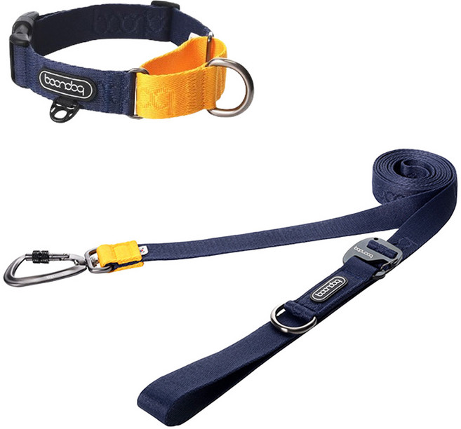 분독 강아지 카라비너 플레이리쉬 250cm + 마틴게일 목줄 세트, 네이비, 1세트