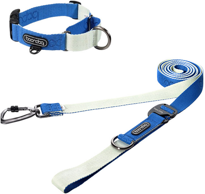 분독 강아지 카라비너 플레이리쉬 320cm + 마틴게일 목줄 세트, 크림블루, 1세트