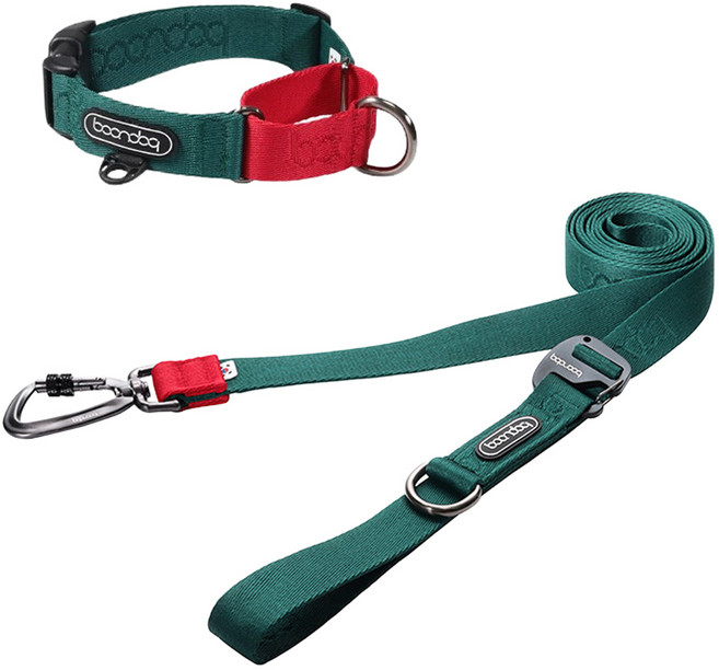분독 강아지 카라비너 플레이리쉬 320cm + 마틴게일 목줄 세트, 그린, 1세트