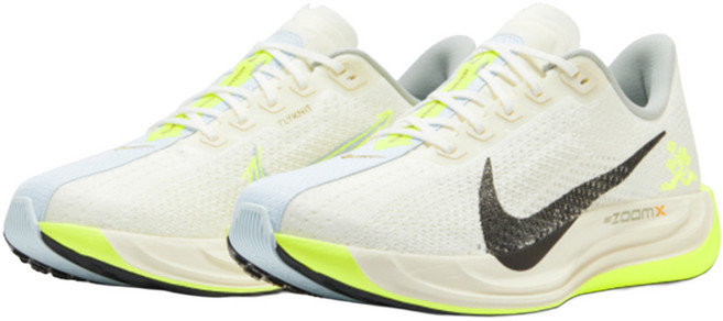 NIKE 耐吉 男款 PEGASUS PLUS 運動鞋 HQ3451-101