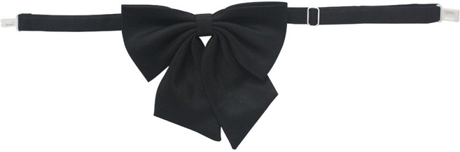 네오바트 나비 리본 타이