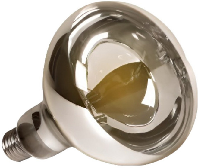 페이토 UVA 주간 히팅램프 데저트 사막형 25W, 1개