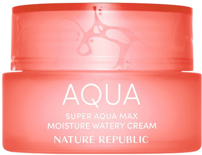 네이처리퍼블릭 슈퍼 아쿠아 맥스 모이스처 수분크림 건성용, 80ml, 1개