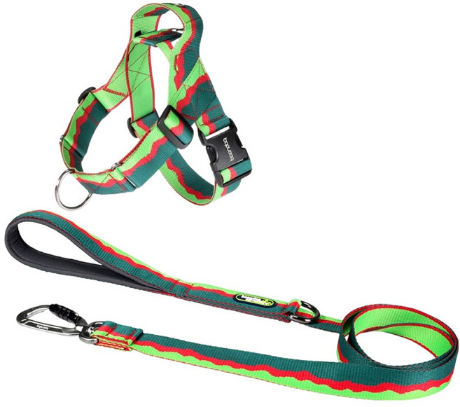 분독 강아지 어드벤처 리쉬 1.4m + 0109 하네스 세트, 그린, 1세트