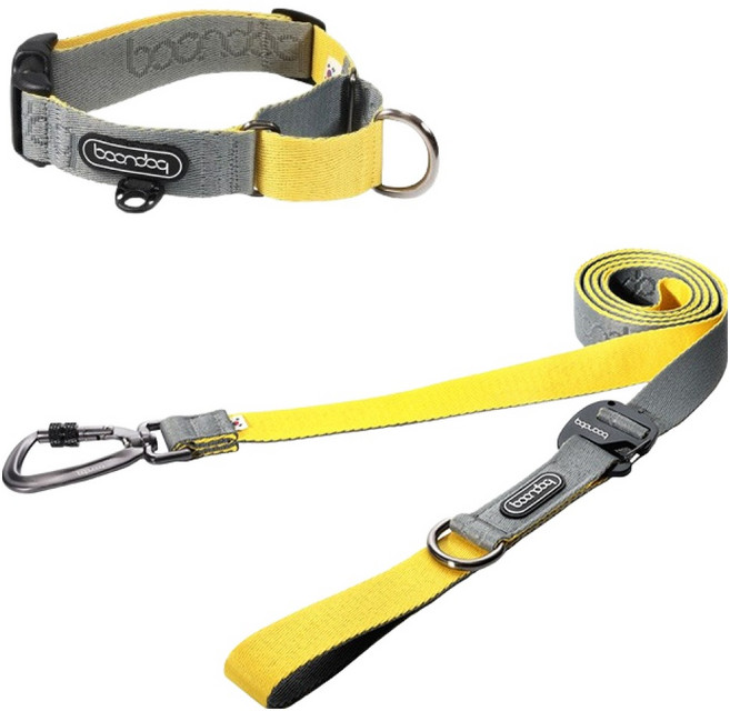 분독 강아지 카라비너 플레이 리쉬 250cm + 마틴게일 목줄 세트, 그레이레몬, 1세트