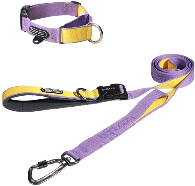 분독 강아지 카라비너 플레이 리쉬 2m + 마틴게일 목줄 세트, 퍼플레몬, 1세트