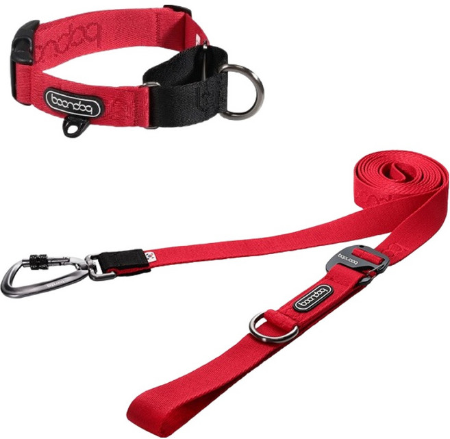 분독 강아지 카라비너 플레이 리쉬 320cm + 마틴게일 목줄 세트, 레드, 1세트