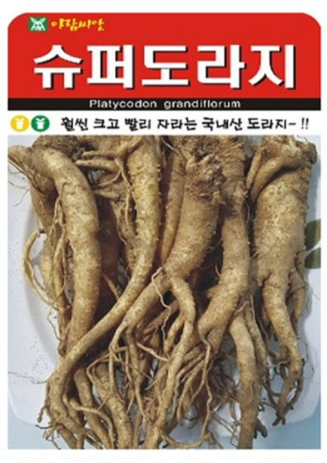 아람종묘 슈퍼 도라지 씨앗 1000p, 1개