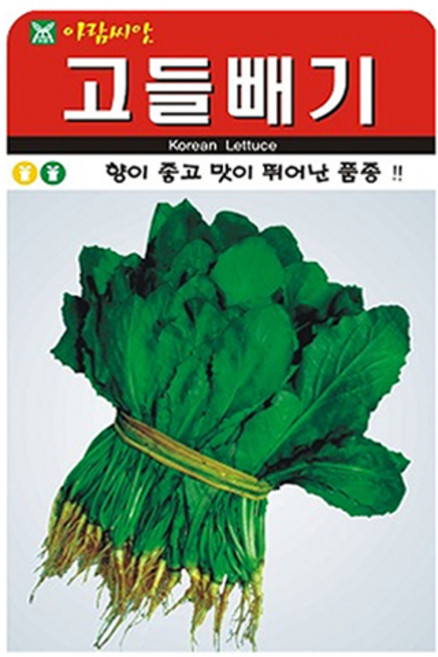 아람종묘 고들빼기 소포장 씨앗 3000p, 1개
