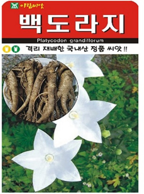 아람종묘 백도라지 씨앗 1000p, 1개
