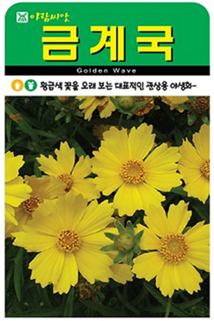 아람종묘 금계국 꽃 씨앗 500p, 1개