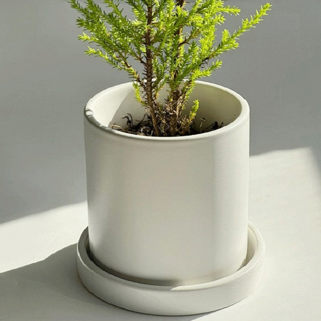 앙비까사 무광심플 화분 + 받침 세트, 화이트, 1개