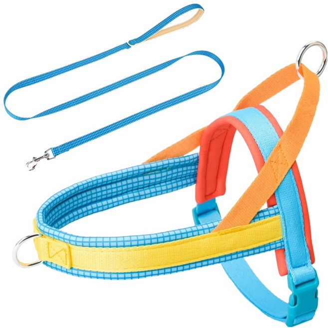 THEIA 狗狗 Playbow 蠟筆 T型胸背帶 + 牽繩組, 格紋鈷藍色, 1套