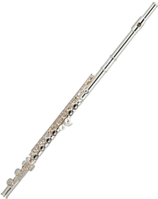 GERMAN FAGOTT 長笛 德國製 + 硬質樂器盒, 1套, FL-301, 銀色
