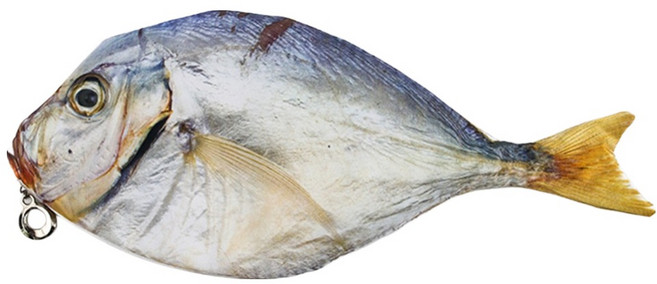 아트조이 업그레이드 리얼 생선 필통, 04 말린 생선 내장버전, 1개