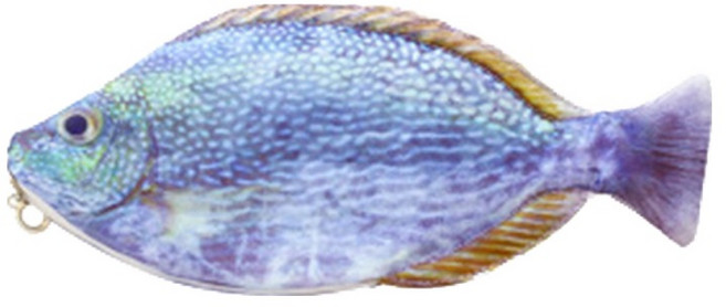 아트조이 업그레이드 리얼 생선 필통, 05 청해어, 1개