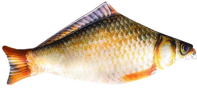 아트조이 리얼 프린팅 파우치 필통, 붕어, 1개