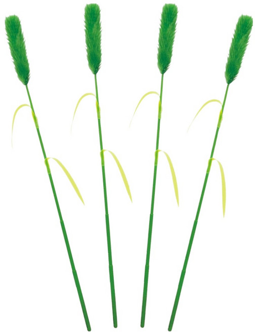 펫모닝 고양이 강아지풀 장난감, 그린, 4개