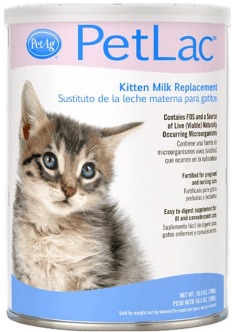 펫에그 고양이 펫락 키튼 파우더 분유, 우유, 300g, 1개