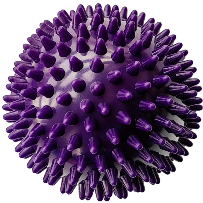 블루코지 아치 안마 지압 마사지볼 L, 퍼플, 1개