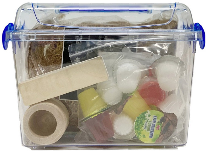 브라더팜 장수풍뎅이 사육 세트 중형, 클린, 1세트