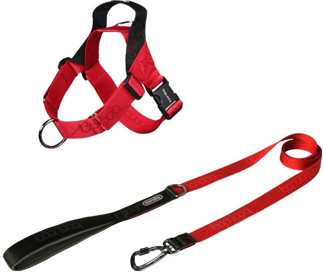 분독 오리지널리쉬 1.4m + 카라비너 하네스 0109 세트, 레드, 1세트