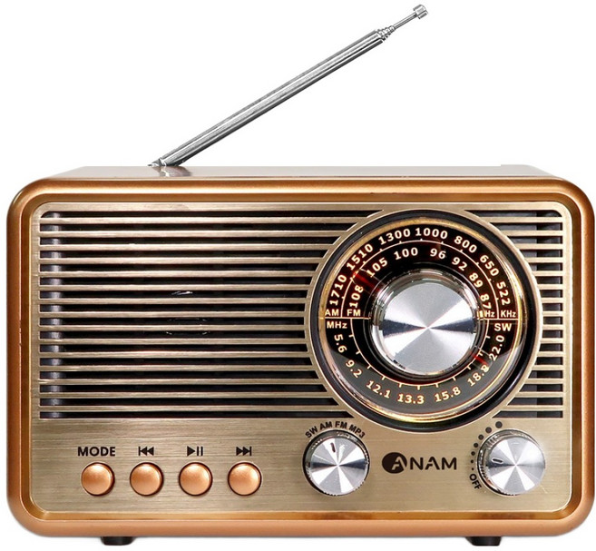 아남 휴대용 레트로 라디오 블루투스 스피커, R50, 골드