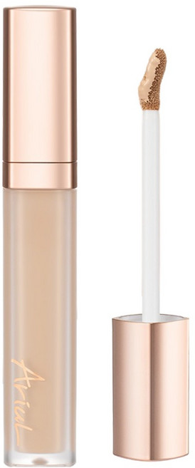 아리얼 잉크 피더 퍼펙트 핏 컨실러 6.5g, 1개, 02 누디내추럴