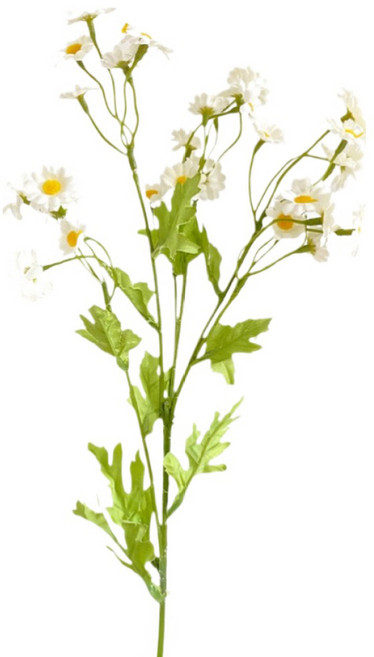 힘룸 캐모마일 조화, 1개, 흰색