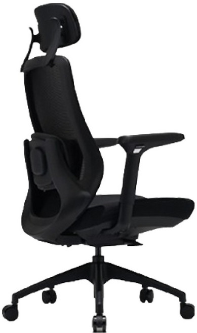 바이타 허리마사지 의자 방문설치, LAVINS M, 돌핀 블랙