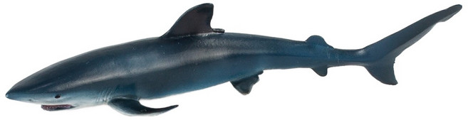 모모스 청새리상어 피규어, 1개