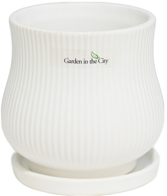 도시정원 모던 도자기 스트라이프 라인 화분 + 받침 세트, 1세트