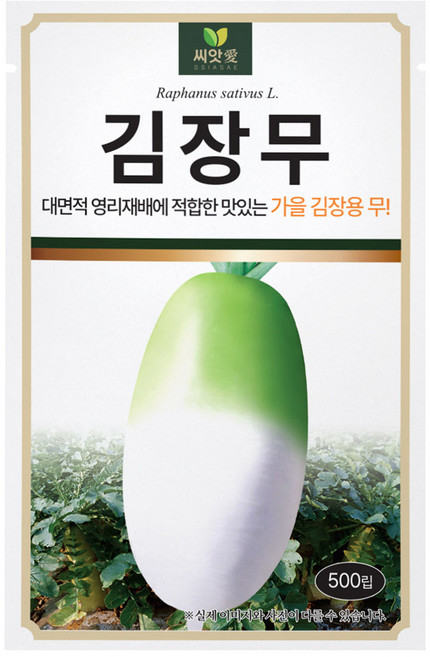 다농 김장무 씨앗 500p, 1개