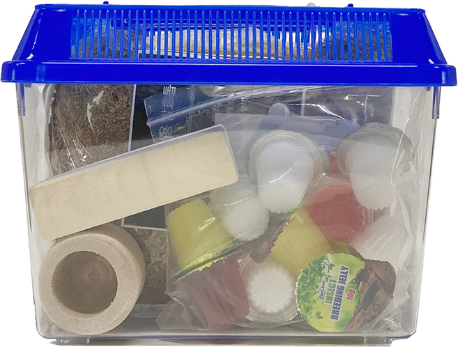 브라더팜 사슴벌레 사육세트 중형, 블루, 1개