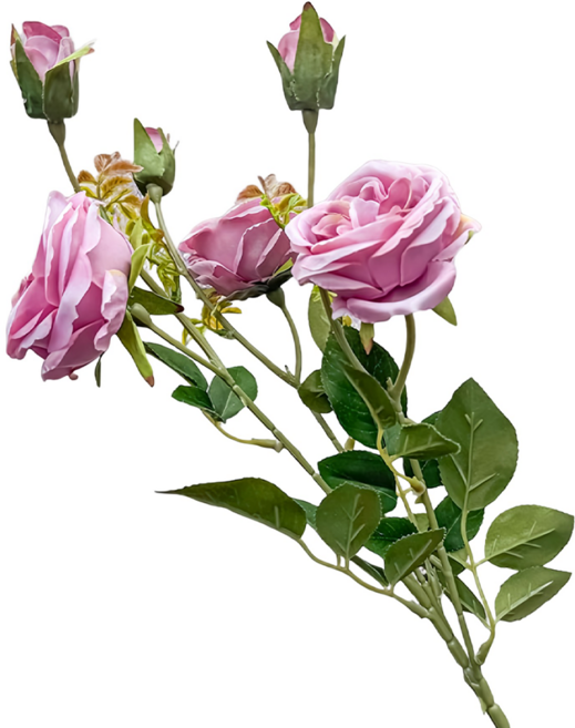 FLORAL M 英式溫莎城堡花園薔薇仿真花花材, 1個, 凱特粉