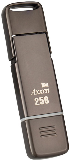 액센 OTG 초고속 듀얼 인터페이스 C타입 외장 PSSD PS31, 크롬, 256GB