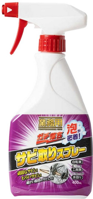 AIMEDIA 艾美迪雅 專業用除鏽泡沫噴霧清潔劑, 400ml, 1瓶