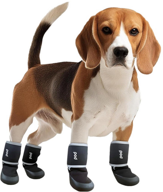 Pets Family 反光線的寵物鞋4件組, 黑色, 1套