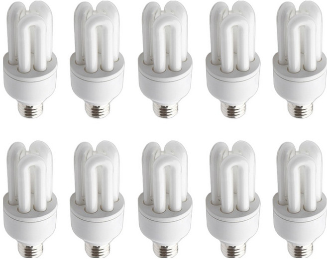 블루밍 EL 삼파장전구 11W, 주광색, 10개