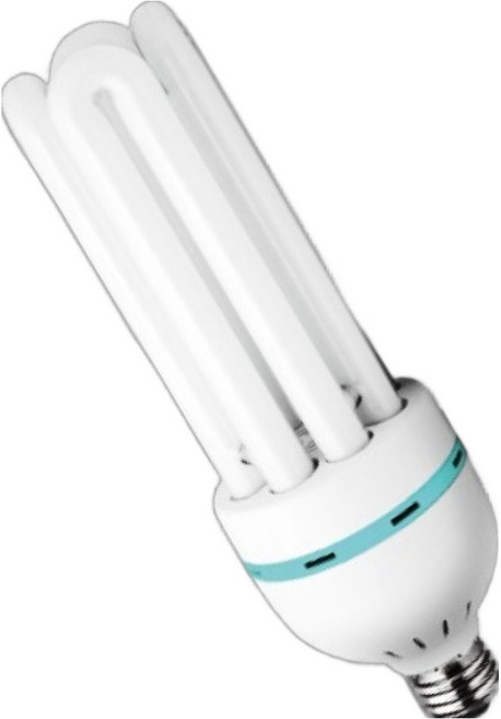 블루밍 삼파장 전구 45W EL 45 EX-D, 주광색, 1개