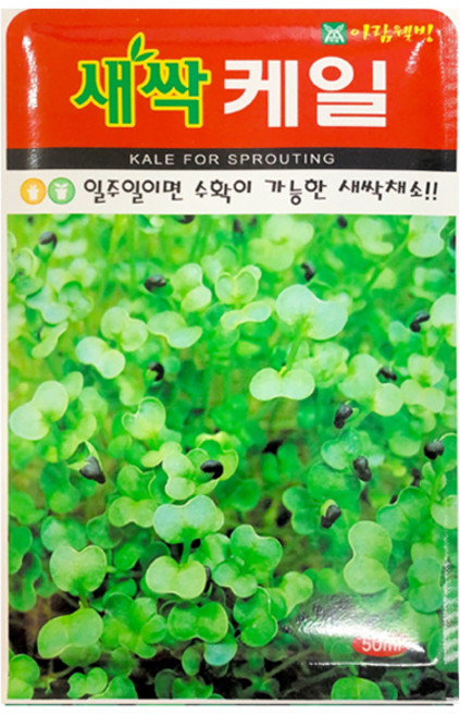 아람종묘 새싹 케일 씨앗 30g, 1개