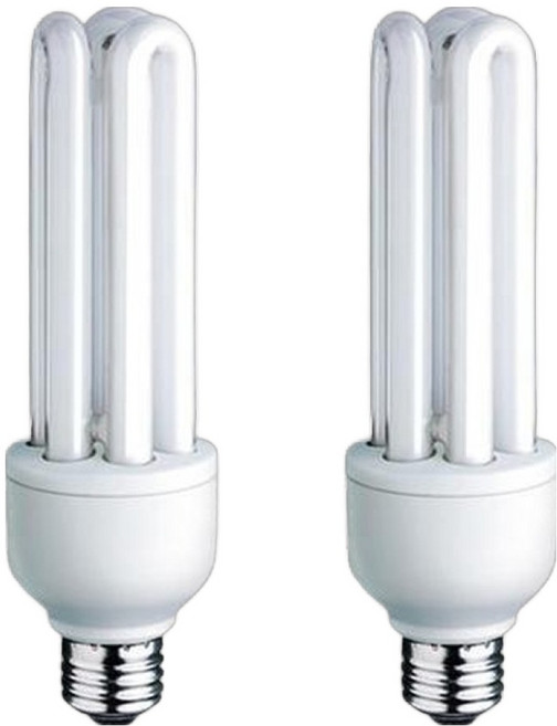 블루밍 삼파장 램프 25W EL25EX-D, 주광색, 2개