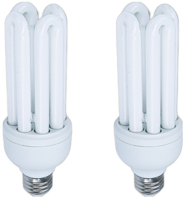 블루밍 삼파장 램프 30W EL30EX-D, 주광색, 2개