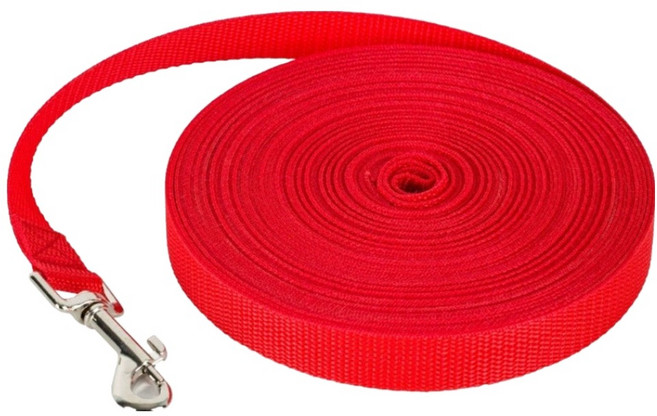 BLOOMERY INTERNATIONAL 寵物牽繩, 紅色, 1個