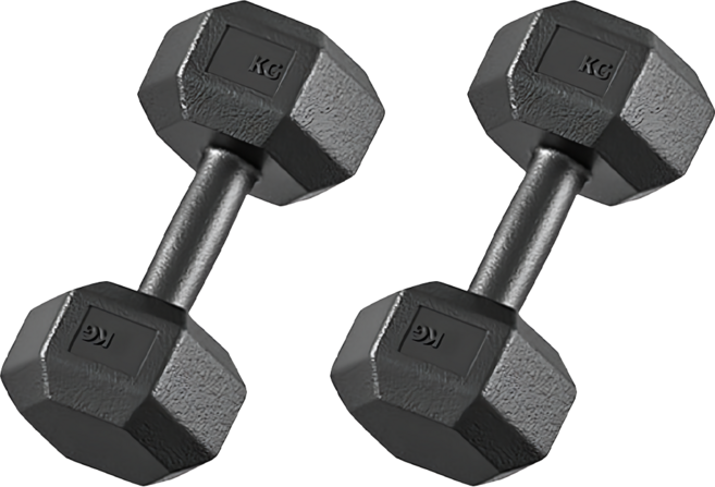 HOME GYM CLUB 居家健身 PVC六角包膠啞鈴, 2個, 10kg