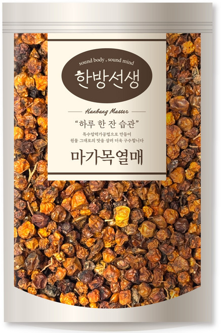 한방선생 국내산 마가목 열매 특품, 100g, 1개